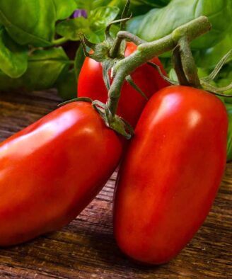rosii san marzano