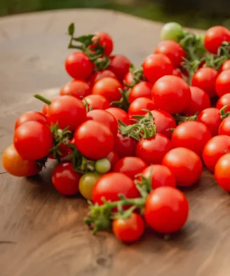 Rosii Cherry de ghiveci