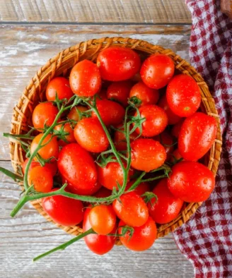 Roșii Silvia – fructe piriforme, de culoare roșu inten